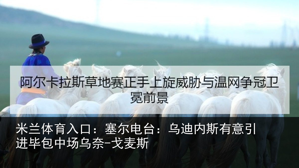 米兰体育入口:塞尔相关情况引进相关情况斯