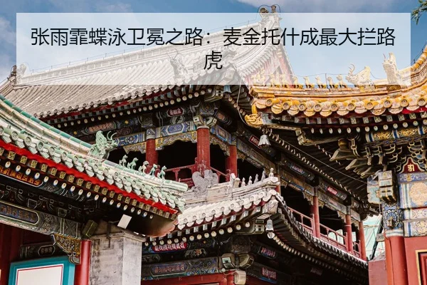 zhang-yu-fei-die-yong-wei-mian-zhi-lu-mai-jin-tuo-shen-cheng-zui-da-lan-lu-hu-3-844.jpg