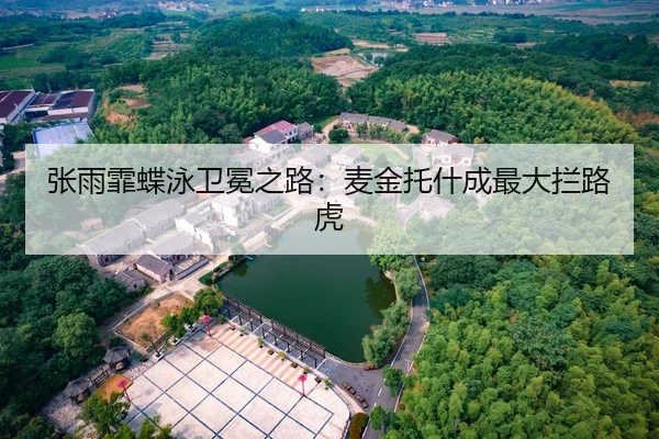 张雨霏蝶泳卫冕之路：麦金托什成最大拦路虎
