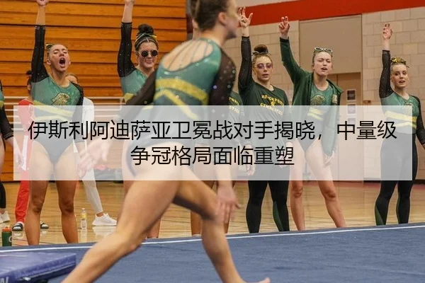 伊斯利阿迪萨亚卫冕战对手揭晓，中量级争冠格局面临重塑