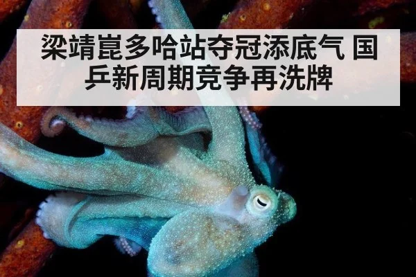梁靖崑多哈站夺冠添底气 国乒新周期竞争再洗牌